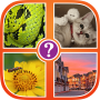 4 images 1 mot icon