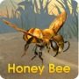 Honey Bee Simulator icon