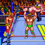 WF WrestleFest