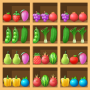 Fruit Sort Puzzle