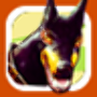 net.itgen.gang_war icon