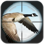 Chasse aux oiseaux volants icon