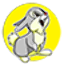 Jumping Rabbit Adventure