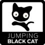 Jumping Black Cat