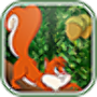 Red squirrel adventure