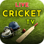 Live Cricket TV: Live Cricket Score & Schedule