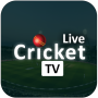 Live Score for IPL 2021 : IPL Live Cricket TV Live