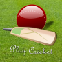 Play Cricket