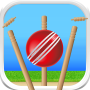 Cricket - Defend the Wicket