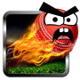 Cricket Game: Angry Style