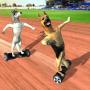 HoverBoard dog surfer : dog Racing Game