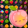 Fruits Puzzle Burst