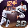 Karate Fighting Tiger 3D