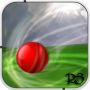 Rogue Cricket Ball