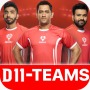 Dream11 Fantasy Cricket- Make your dream team tips