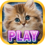 Casino Kitty Free Slot Machine