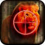 Lion Hunting 3D Adventure