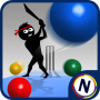 Googly Cricket