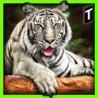 Super Tiger Sim 2017 icon