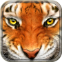 Tiger Simulator 3D Wildlife