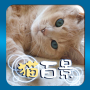 Aha-Experience Scenes of Cats icon
