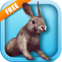 Bunny Simulator Free