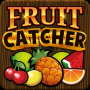 New Fruits Catcher Free