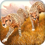 Wild Animal Simulator Games 3D