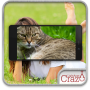 Cat Face Scanner Simulator