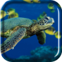Turtle Sea Live Wallpaper icon