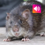 Bandicoot rat: звук, дзвінки SMC SmartQ: Mor-Or We Care icon