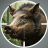 icon Animal Hunter: Wild Shooting 4.6.1