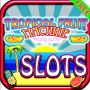 Tropical Casino Cocktail Slot icon