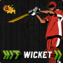 Hit Wicket Cricket 2018 - World Cup League Game