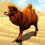 Simulateur de courses de chameaux sauvages icon